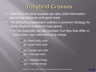    Data from trihybrid crosses can also yield information
    about map distance and gene order
   The following experiment outlines a common strategy for
    using trihybrid crosses to map genes
     In this example, we will consider fruit flies that differ in
      body color, eye color and wing shape
                 b = black body color
                 b+ = gray body color
                 pr = purple eye color
                 pr+ = red eye color
                 vg = vestigial wings
                 vg+ = normal wings
                Copyright ©The McGraw-Hill Companies, Inc. Permission required for reproduction or display
                                                                                                             5-59
 