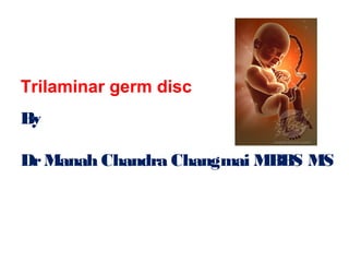 Trilaminar germ disc
By
DrManah Chandra Changmai MBBS MS
 