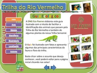 .
Guia Ecológico
A ONG Eco Paerve elaborou este guia
ilustrado com o intuito de facilitar a
identificação dos animais que passam pela
Trilha do Rio Vermelho e também de
algumas plantas da nossa Trilha Sensorial.
O Guia foi ilustrado com fotos e apresenta
algumas das principais características da
fauna e flora da trilha.
Basta clicar sobre o assunto que deseja
conhecer...você poderá voltar para a página
inicial clicando nas setas!
 