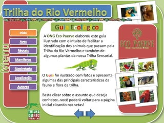 .
Guia Ecológico
A ONG Eco Paerve elaborou este guia
ilustrado com o intuito de facilitar a
identificação dos animais que passam pela
Trilha do Rio Vermelho e também de
algumas plantas da nossa Trilha Sensorial.
O Guia foi ilustrado com fotos e apresenta
algumas das principais características da
fauna e flora da trilha.
Basta clicar sobre o assunto que deseja
conhecer...você poderá voltar para a página
inicial clicando nas setas!
 