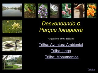 Desvendando o
Clique sobre a trilha desejada:
Trilha: Aventura Ambiental
Trilha: Lago
Trilha: Monumentos
Créditos
Parque Ibirapuera
 