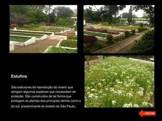 Estufins
São estruturas de reprodução do viveiro que
abrigam algumas espécies que necessitam de
proteção. São construídos de tal forma que
protegem as plantas dos principais ventos como o
do sul, predominante do estado de São Paulo.
VOLTAR
 