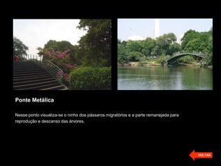 Ponte Metálica
Nesse ponto visualiza-se o ninho dos pássaros migratórios e a parte remanejada para
reprodução e descanso das árvores.
VOLTAR
 