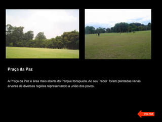 Praça da Paz
A Praça da Paz é área mais aberta do Parque Ibirapuera. Ao seu redor foram plantadas várias
árvores de diversas regiões representando a união dos povos.
VOLTAR
 
