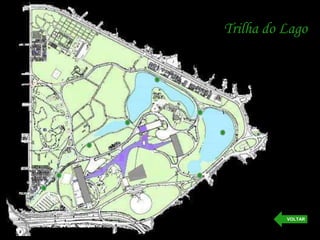 Trilha do Lago
VOLTAR
 