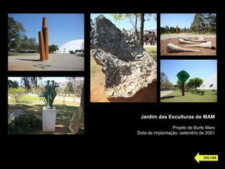 Jardim das Esculturas do MAM
Projeto de Burle Marx
Data de implantação: setembro de 2001
VOLTAR
 