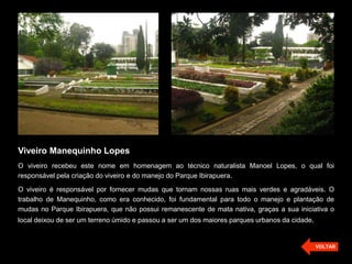 Viveiro Manequinho Lopes
O viveiro recebeu este nome em homenagem ao técnico naturalista Manoel Lopes, o qual foi
responsável pela criação do viveiro e do manejo do Parque Ibirapuera.
O viveiro é responsável por fornecer mudas que tornam nossas ruas mais verdes e agradáveis. O
trabalho de Manequinho, como era conhecido, foi fundamental para todo o manejo e plantação de
mudas no Parque Ibirapuera, que não possui remanescente de mata nativa, graças a sua iniciativa o
local deixou de ser um terreno úmido e passou a ser um dos maiores parques urbanos da cidade.
VOLTAR
 