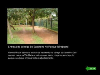 Entrada do córrego do Sapateiro no Parque Ibirapuera
Alambrado que delimita a estação de tratamento e o córrego do sapateiro. Este
córrego nasce na Vila Mariana e atravessa o bairro, chegando até o lago do
parque, sendo sua principal fonte de abastecimento.
VOLTAR
 