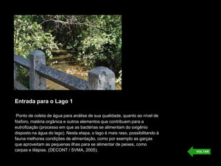 Entrada para o Lago 1
Ponto de coleta de água para análise de sua qualidade, quanto ao nível de
fósforo, matéria orgânica e outros elementos que contribuem para a
eutrofização (processo em que as bactérias se alimentam do oxigênio
disposto na água do lago). Nesta etapa, o lago é mais raso, possibilitando à
fauna melhores condições de alimentação, como por exemplo as garças
que aproveitam as pequenas ilhas para se alimentar de peixes, como
carpas e tilápias. (DECONT / SVMA, 2005). VOLTAR
 