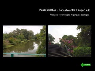 Ponte Metálica – Conexão entre o Lago 1 e 2
Área para contemplação do parque e dos lagos.
VOLTAR
 