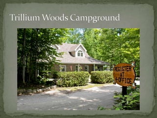 Bunkies and Cabins at Trillium Woods Campground
