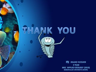 Trilobite Introductiion