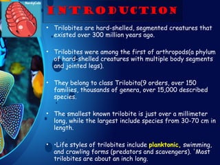 • Trilobites are hard-shelled, segmented creatures that
existed over 300 million years ago.
• Trilobites were among the first of arthropods(a phylum
of hard-shelled creatures with multiple body segments
and jointed legs).
• They belong to class Trilobita(9 orders, over 150
families, thousands of genera, over 15,000 described
species.
• The smallest known trilobite is just over a millimeter
long, while the largest include species from 30-70 cm in
length.
• •Life styles of trilobites include planktonic, swimming,
and crawling forms (predators and scavengers). 'Most
trilobites are about an inch long.
 