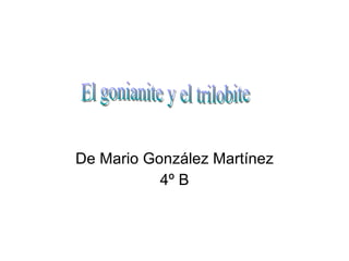 De Mario González Martínez 4º B El gonianite y el trilobite 