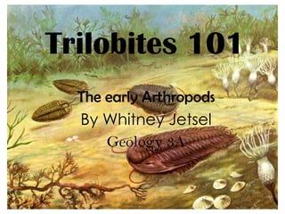 Trilobites 101
  The early Arthropods
  By Whitney Jetsel
      Geology 3A
 