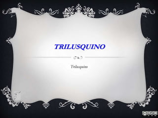 TRILUSQUINO
Trilusquino
 