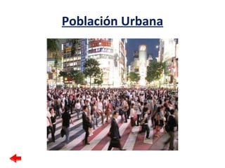 Población Urbana 