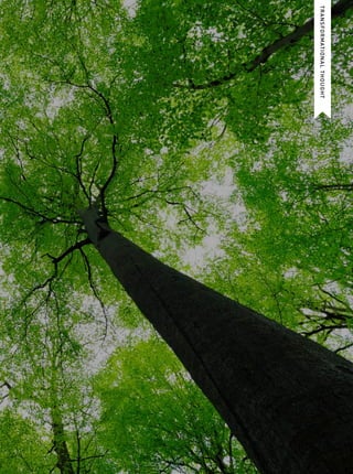 31trim tab
Transformationalthought
 