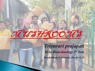 Tripurari prajapati
M.Sc.Biotechnology 1st Sem
Bundelkhand University, Jhansi (U.P)
 