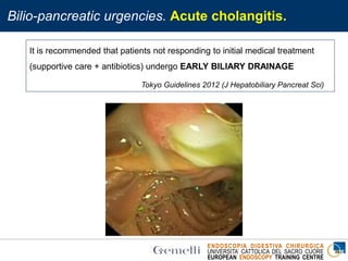 ENDOSCOPIA DIGESTIVA CHIRURGICA
UNIVERSITA’ CATTOLICA DEL SACRO CUORE
EUROPEAN ENDOSCOPY TRAINING CENTRE
Bilio-pancreatic urgencies. Acute cholangitis.
It is recommended that patients not responding to initial medical treatment
(supportive care + antibiotics) undergo EARLY BILIARY DRAINAGE
Tokyo Guidelines 2012 (J Hepatobiliary Pancreat Sci)
 