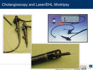 ENDOSCOPIA DIGESTIVA CHIRURGICA
UNIVERSITA’ CATTOLICA DEL SACRO CUORE
EUROPEAN ENDOSCOPY TRAINING CENTRE
Cholangioscopy and Laser/EHL lithotripsy
 