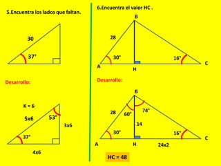 Triangulo Rectangulo