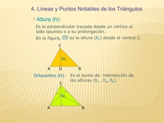 4. Líneas y Puntos Notables de los Triángulos
• Altura (h):
Es la perpendicular trazada desde un vértice al
lado opuesto o a su prolongación.
En la figura, CD es la altura (hc) desde el vértice C.
Ortocentro (H): Es el punto de intersección de
las alturas (hc , ha, hb).
A B
C
H
A B
C
hc
D
 