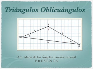 Triángulos Oblicuángulos




   Arq. María de los Ángeles Larraza Carvajal
               P R E S E N TA
                        1
 