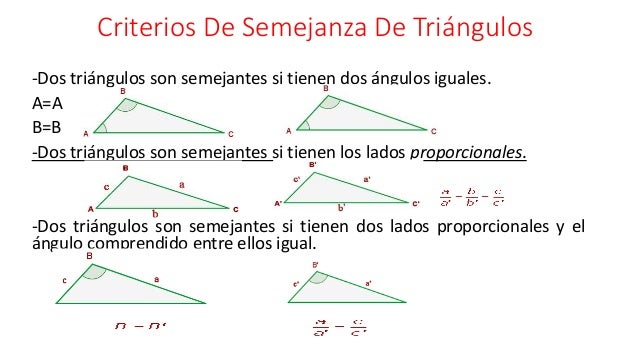 Triángulos semejantes