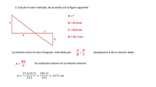 A = ?
B = 17.3 cm
C = 13.5 cm
D = 10. 7 cm
3. Calcule el valor indicado, de acuerdo con la figura siguiente:
La relación entre los dos triángulos está dada por:
𝑨
𝑩
=
𝑫
𝑪
Despejamos A de la relación dada:
𝑨 =
𝑩𝑫
𝑪
Se sustituyen valores en la relación anterior:
𝐴 =
17.3(10.7)
13.5
=
185.11
13.5
= 13.71 𝑐𝑚
 