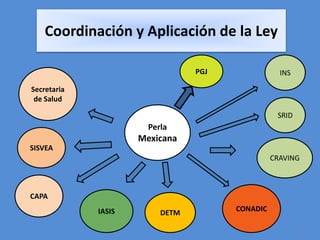 Coordinación y Aplicación de la Ley

                                 PGJ               INS

Secretaria
 de Salud

                                                  SRID
                       Perla
                     Mexicana
SISVEA
                                                 CRAVING



CAPA
             IASIS        DETM         CONADIC

                                                         6
 