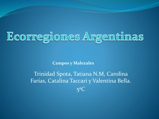 Trinidad Spota, Tatiana N.M, Carolina
Farías, Catalina Taccari y Valentina Bella.
5ºC
Campos y Malezales
 