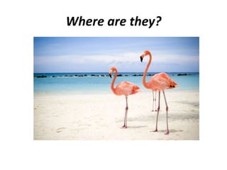 Where are they?