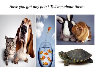Have you got any pets? Tell me about them.
 