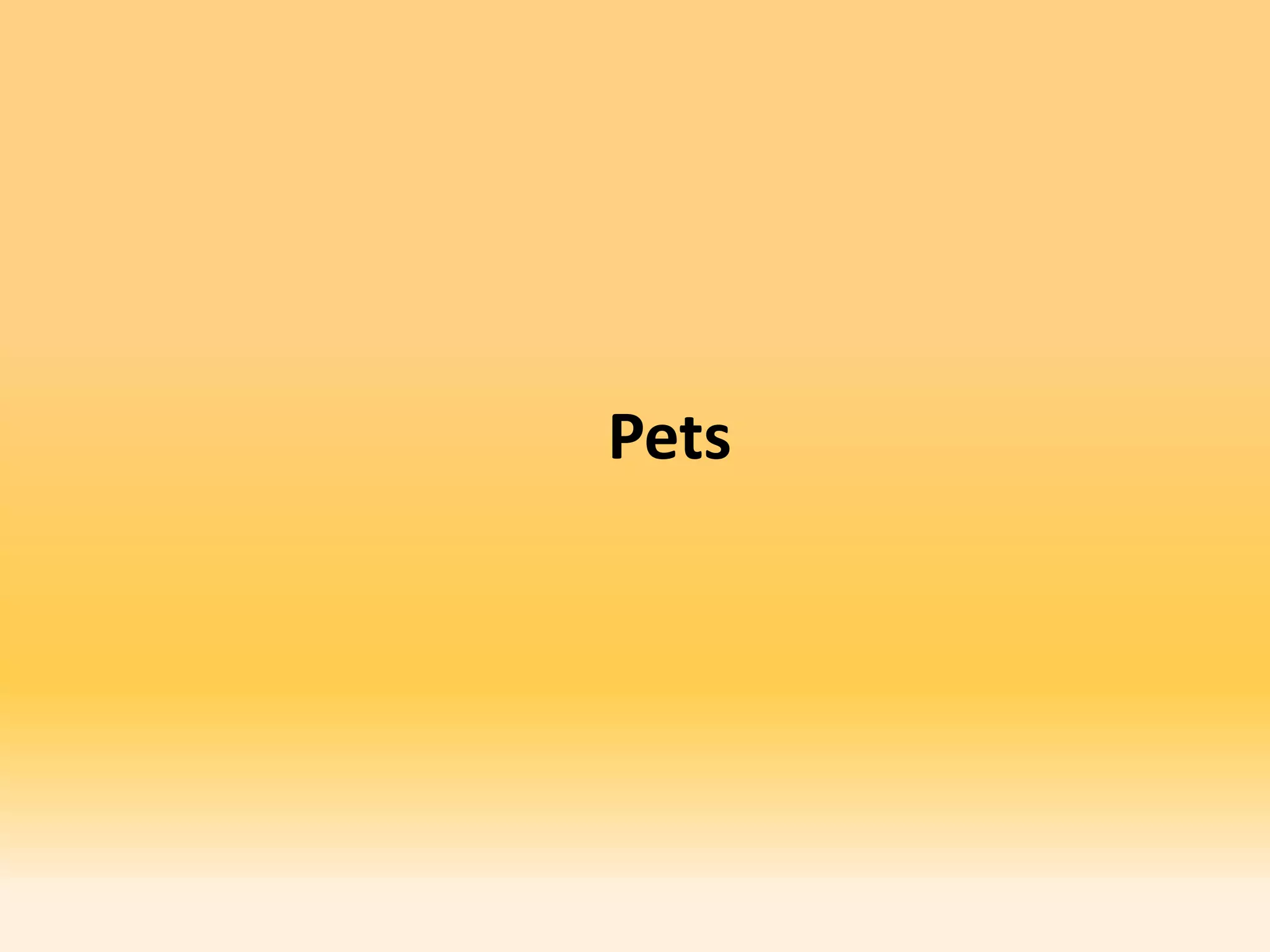 Pets
 