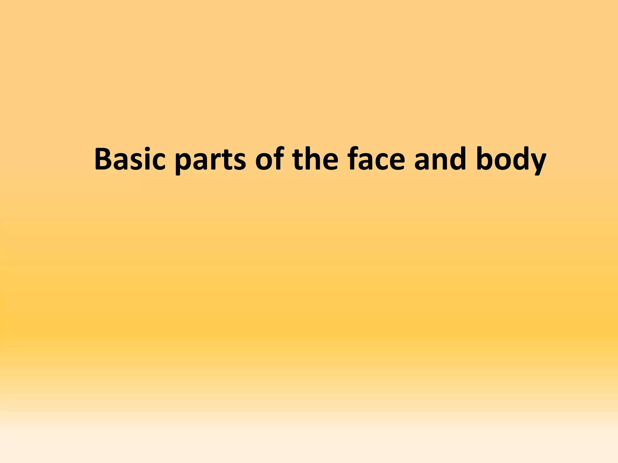 Basic parts of the face and body
 