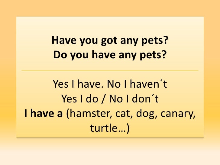 do you have any