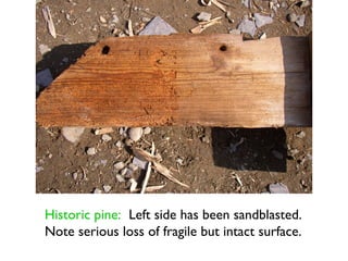 Historic pine: Left side has been sandblasted.
Note serious loss of fragile but intact surface.
 