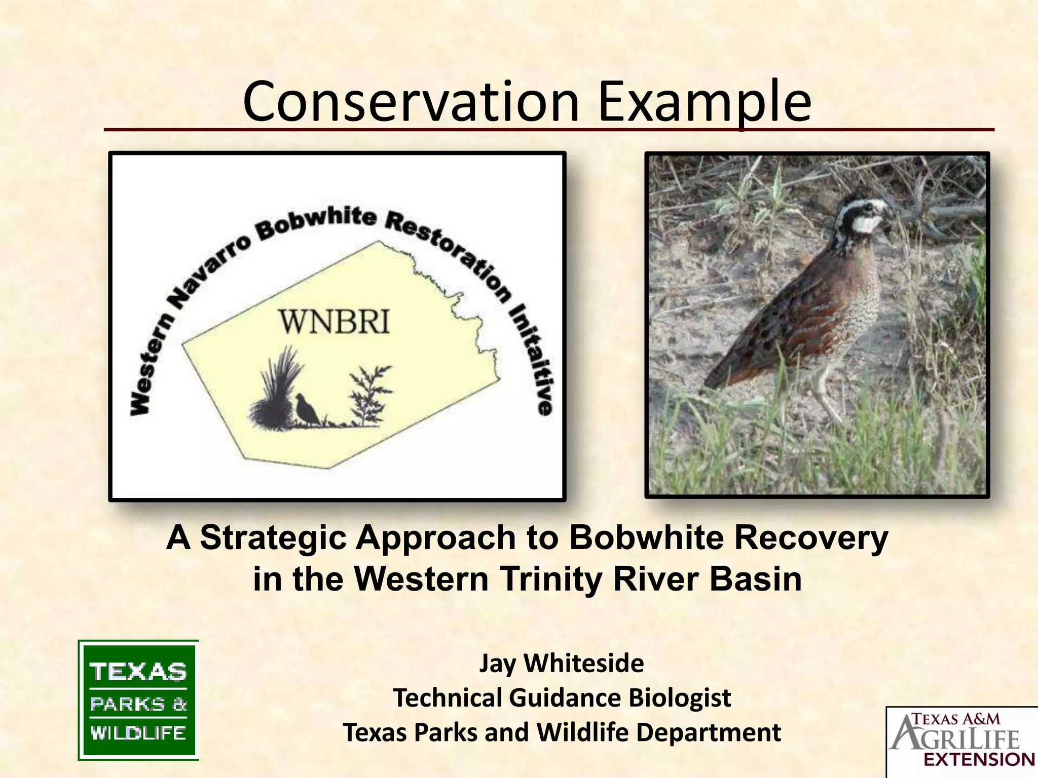 Conservation Example




A Strategic Approach to Bobwhite Recovery
     in the Western Trinity River Basin

                     Jay Whiteside
              Technical Guidance Biologist
          Texas Parks and Wildlife Department
 