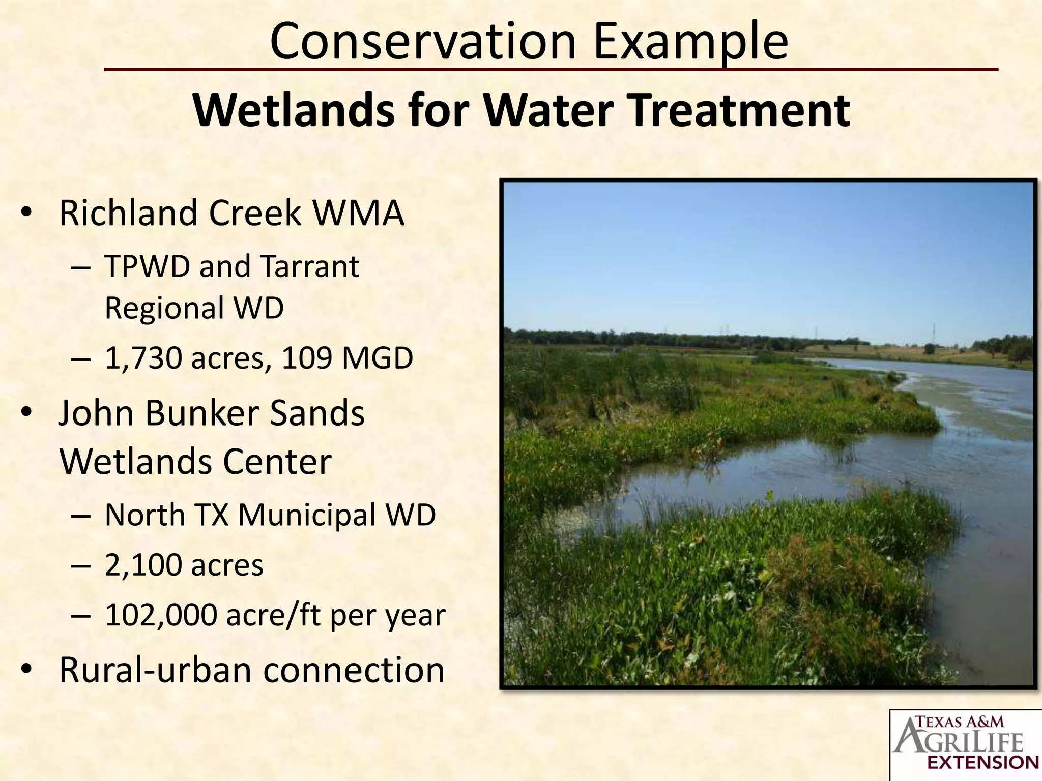 Conservation Example
          Wetlands for Water Treatment
• Richland Creek WMA
  – TPWD and Tarrant
    Regional WD
  – 1,730 acres, 109 MGD
• John Bunker Sands
  Wetlands Center
  – North TX Municipal WD
  – 2,100 acres
  – 102,000 acre/ft per year
• Rural-urban connection
 
