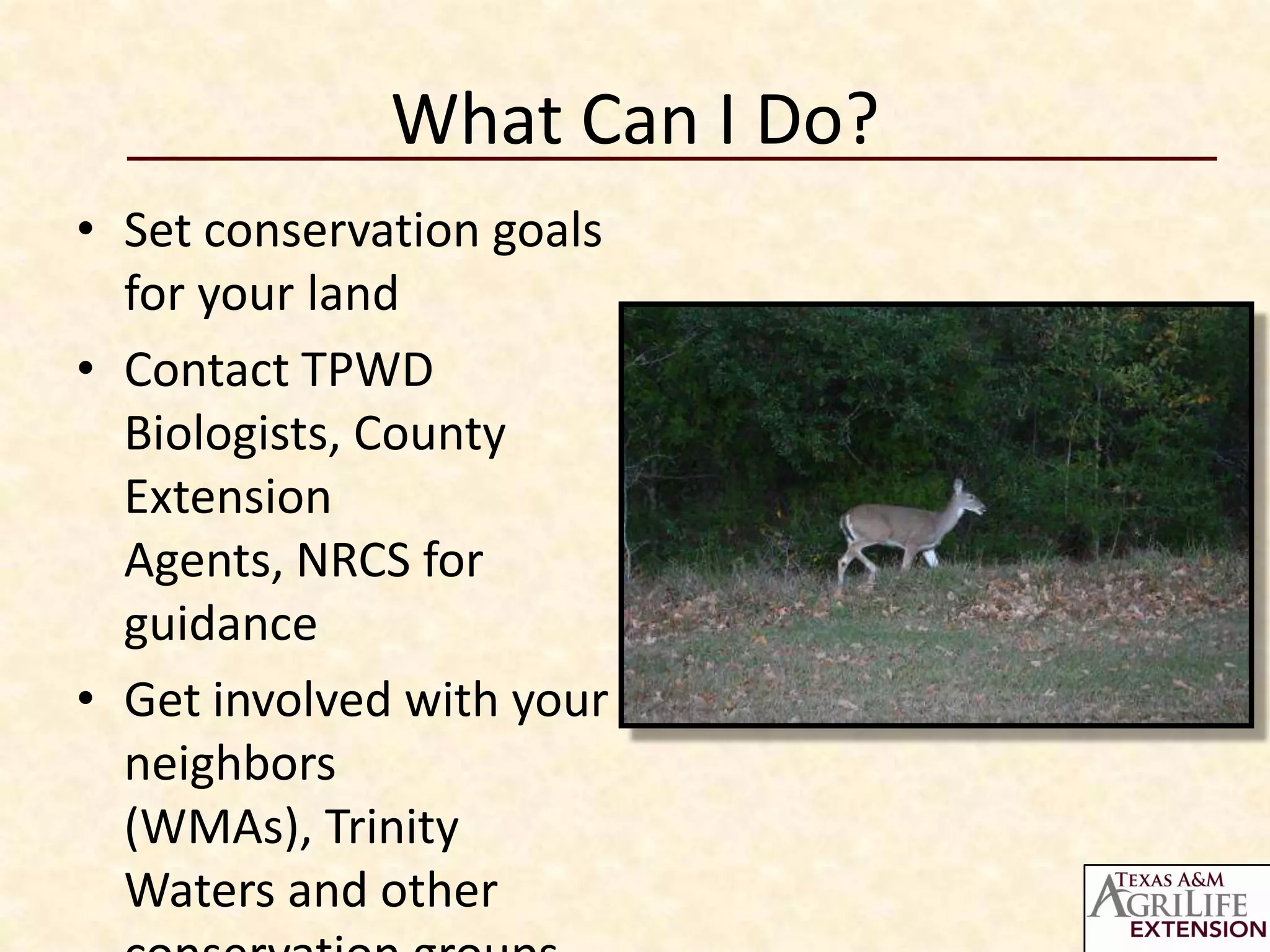 What Can I Do?
• Set conservation goals
  for your land
• Contact TPWD
  Biologists, County
  Extension
  Agents, NRCS for
  guidance
• Get involved with your
  neighbors
  (WMAs), Trinity
  Waters and other
 