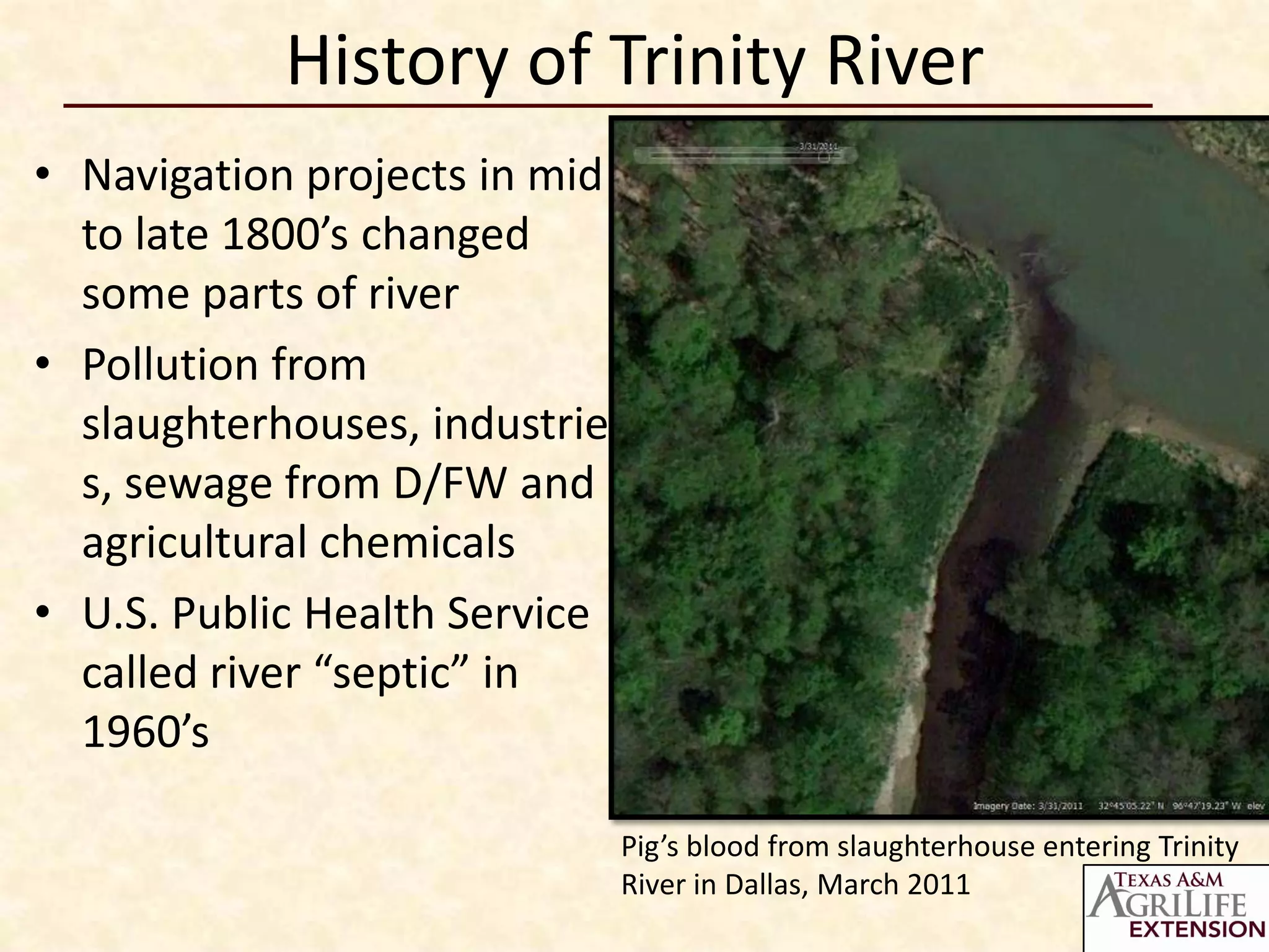 History of Trinity River
• Navigation projects in mid
  to late 1800’s changed
  some parts of river
• Pollution from
  slaughterhouses, industrie
  s, sewage from D/FW and
  agricultural chemicals
• U.S. Public Health Service
  called river “septic” in
  1960’s

                               Pig’s blood from slaughterhouse entering Trinity
                               River in Dallas, March 2011
 