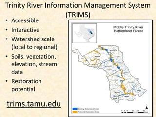 Trinity River Information Management System
                    (TRIMS)
• Accessible
• Interactive
• Watershed scale
  (local to regional)
• Soils, vegetation,
  elevation, stream
  data
• Restoration
  potential

trims.tamu.edu
 