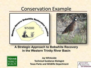 Conservation Example




A Strategic Approach to Bobwhite Recovery
     in the Western Trinity River Basin

                     Jay Whiteside
              Technical Guidance Biologist
          Texas Parks and Wildlife Department
 