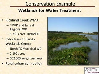 Conservation Example
          Wetlands for Water Treatment
• Richland Creek WMA
  – TPWD and Tarrant
    Regional WD
  – 1,730 acres, 109 MGD
• John Bunker Sands
  Wetlands Center
  – North TX Municipal WD
  – 2,100 acres
  – 102,000 acre/ft per year
• Rural-urban connection
 