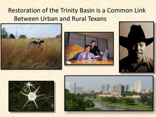 Restoration of the Trinity Basin is a Common Link
  Between Urban and Rural Texans
 