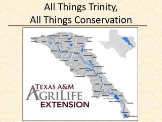 All Things Trinity,
All Things Conservation
 