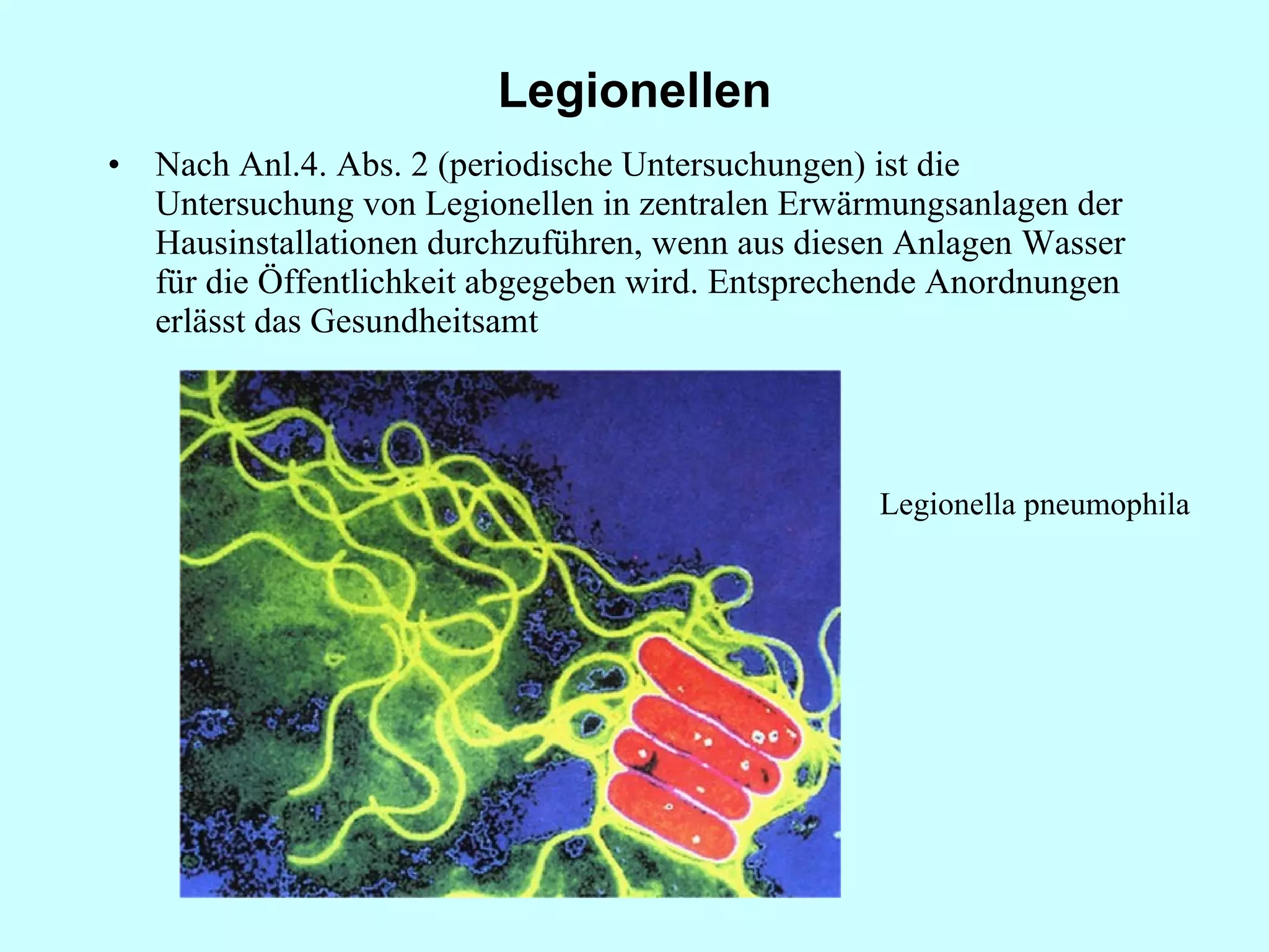 Legionellen Nach Anl.4. Abs. 2 (periodische Untersuchungen) ist die Untersuchung von Legionellen in zentralen Erwärmungsanlagen der Hausinstallationen durchzuführen, wenn aus diesen Anlagen Wasser für die Öffentlichkeit abgegeben wird. Entsprechende Anordnungen erlässt das Gesundheitsamt Legionella pneumophila 