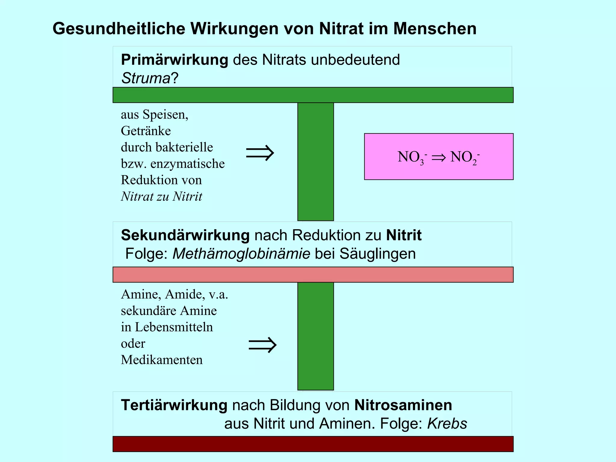 Gesundheitliche Wirkungen von Nitrat im Menschen NO 3 -     NO 2 - aus Speisen, Getränke  durch bakterielle bzw. enzymatische Reduktion von  Nitrat zu Nitrit            Amine, Amide, v.a. sekundäre Amine in Lebensmitteln oder Medikamenten                         Primärwirkung  des Nitrats unbedeutend Struma ?     Sekundärwirkung  nach Reduktion zu  Nitrit   Folge:  Methämoglobinämie  bei Säuglingen   Tertiärwirkung  nach Bildung von  Nitrosaminen   aus Nitrit und Aminen. Folge:  Krebs 