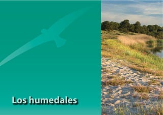 Los humedales
 